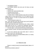 Referāts 'Krievu tautas nacionālā virtuve - sabiedriskās ēdināšanas uzņēmumu piedāvājums L', 19.