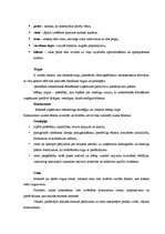 Referāts 'Krievu tautas nacionālā virtuve - sabiedriskās ēdināšanas uzņēmumu piedāvājums L', 21.