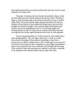 Eseja 'Descriptive Writing - Woodland', 2.