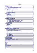 Biznesa plāns 'SIA "Septiņi rūķīši"', 2.