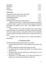 Biznesa plāns 'SIA "Septiņi rūķīši"', 10.