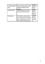 Biznesa plāns 'SIA "Septiņi rūķīši"', 12.