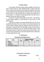 Biznesa plāns 'SIA "Septiņi rūķīši"', 13.