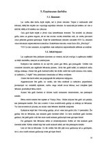 Biznesa plāns 'SIA "Septiņi rūķīši"', 20.