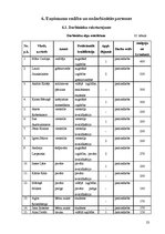 Biznesa plāns 'SIA "Septiņi rūķīši"', 23.