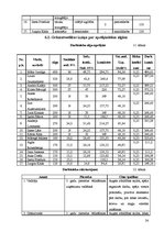 Biznesa plāns 'SIA "Septiņi rūķīši"', 24.