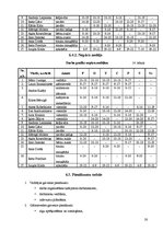 Biznesa plāns 'SIA "Septiņi rūķīši"', 28.