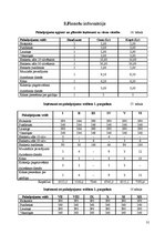 Biznesa plāns 'SIA "Septiņi rūķīši"', 31.