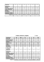 Biznesa plāns 'SIA "Septiņi rūķīši"', 33.