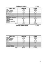 Biznesa plāns 'SIA "Septiņi rūķīši"', 35.