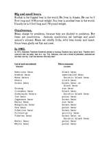 Referāts 'Bears', 2.