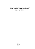 Eseja 'Grāmata "Zilā okeāna stratēģija"', 1.