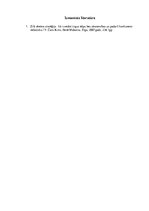 Eseja 'Grāmata "Zilā okeāna stratēģija"', 6.