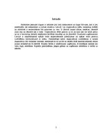 Referāts 'Organizācijas darbības plānošanas un kontroles sistēma', 2.
