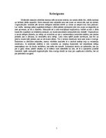 Referāts 'Organizācijas darbības plānošanas un kontroles sistēma', 5.