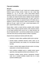 Referāts 'ES tieslietu un iekšlietu attīstība, TREVI, Šengena, Eiropols', 8.