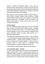 Referāts 'ES tieslietu un iekšlietu attīstība, TREVI, Šengena, Eiropols', 12.