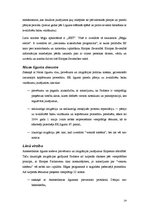 Referāts 'ES tieslietu un iekšlietu attīstība, TREVI, Šengena, Eiropols', 14.