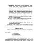 Diplomdarbs 'Mēbeļu ražošanas un tirdzniecības uzņēmuma mārketinga vides raksturojums un iete', 17.