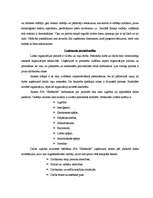 Diplomdarbs 'Mēbeļu ražošanas un tirdzniecības uzņēmuma mārketinga vides raksturojums un iete', 19.