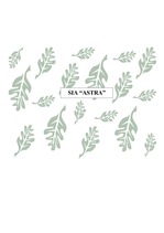 Biznesa plāns 'SIA "Astra"', 1.