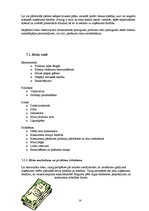 Biznesa plāns 'SIA "Astra"', 17.