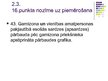 Prezentācija 'Sardzes reglaments', 9.