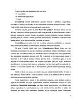 Referāts 'Darba organizēšana un kontrole Valsts policijā', 9.