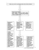 Referāts 'Darba organizēšana un kontrole Valsts policijā', 14.