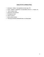 Referāts 'Darba organizēšana un kontrole Valsts policijā', 33.