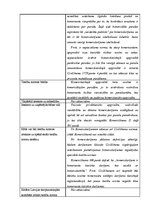 Paraugs 'Normatīvo aktu projekts', 2.