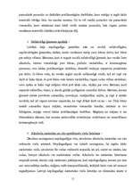 Referāts 'Audzinoša rakstura līdzekļu piemērošanas nepilngadīgajiem likumpārkāpējiem tiesi', 10.