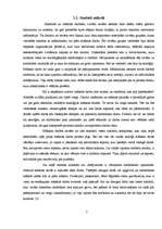 Referāts 'Simboli renesanses laika mākslā', 7.