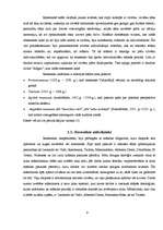 Referāts 'Simboli renesanses laika mākslā', 11.