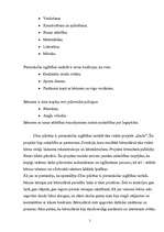 Referāts 'Pirmsskolas izglītības iestādes darbība', 4.