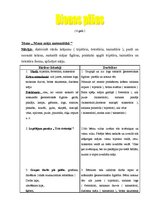 Konspekts 'Dienas plāns matemātikas nodarbībai', 1.