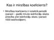 Prezentācija 'Latvijas demogrāfiskais stāvoklis', 10.