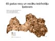 Prezentācija 'Latvijas demogrāfiskais stāvoklis', 25.