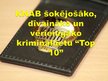 Prezentācija 'Ekonomiskie noziegumi', 13.
