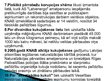 Prezentācija 'Ekonomiskie noziegumi', 16.