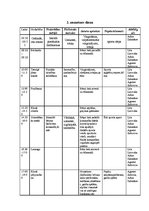 Paraugs 'Handbola treniņnometne', 6.