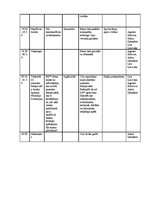 Paraugs 'Handbola treniņnometne', 7.