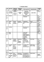 Paraugs 'Handbola treniņnometne', 10.