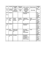 Paraugs 'Handbola treniņnometne', 13.