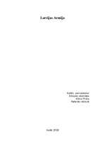 Referāts 'Latvijas armija', 11.