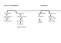 Konspekts 'Uzņēmējsabiedrību nosaukumu salīdzināšana Komerclikumā un likumā "Par uzņēmējdar', 10.