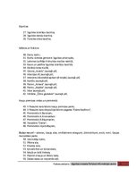 Prakses atskaite 'Tūrisma informācijas centra prakses atskaite', 24.
