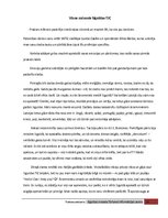 Prakses atskaite 'Tūrisma informācijas centra prakses atskaite', 28.