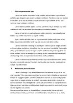 Eseja 'Personas raksturojums', 3.