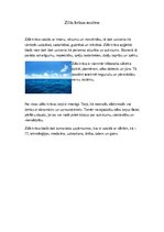 Konspekts 'Zilās krāsas nozīme', 1.